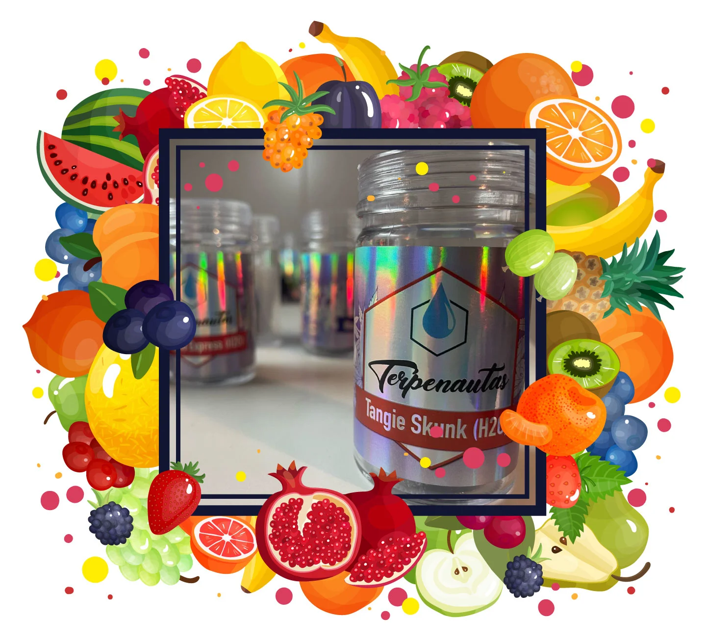 Terpenautas Tangie Skunk con perfil aromático cítrico y frutal inspirado en naranja, mandarina y frutas tropicales.