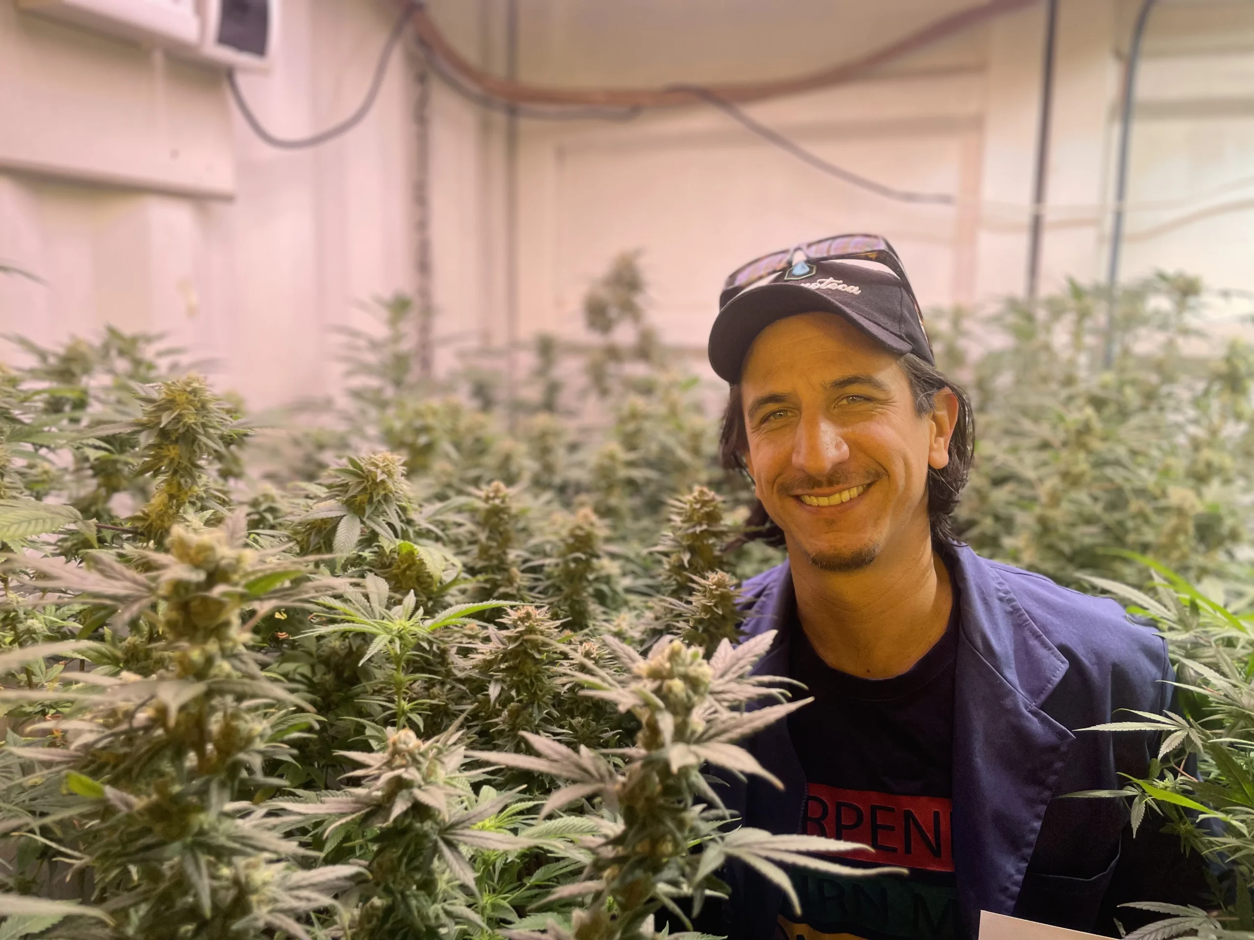 Federico Benítez, fundador de Terpenoteca