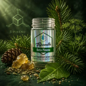 rasco de Beta Pineno de Terpenautas rodeado de ramas de pino, piña, resina, semillas aromáticas y hojas verdes, con la estructura molecular del beta pineno