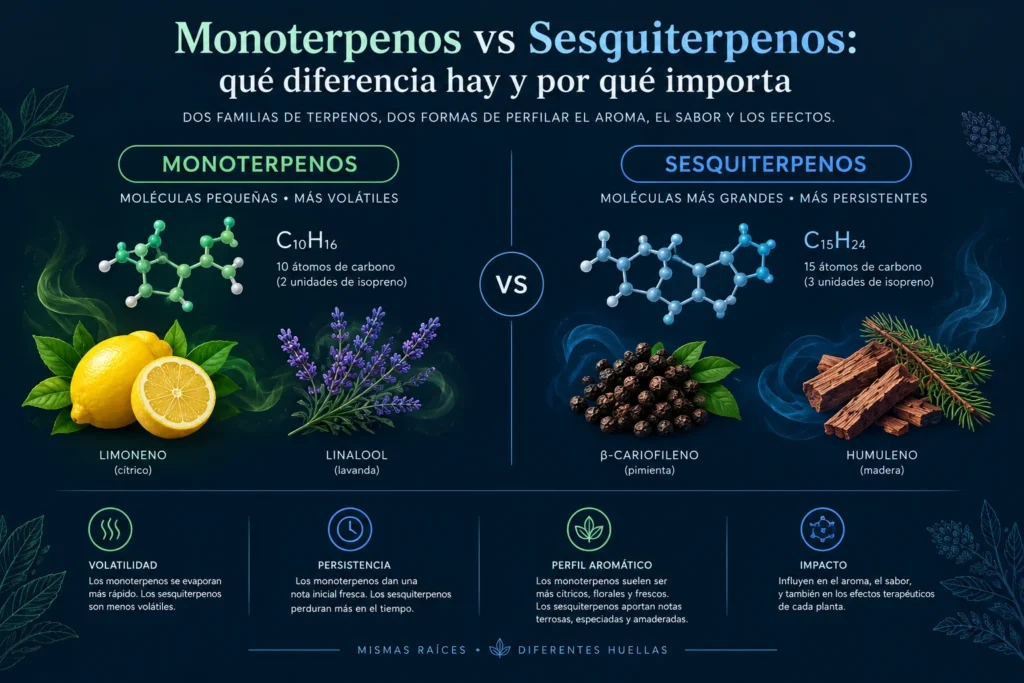 Comparación entre monoterpenos y sesquiterpenos según estructura, volatilidad y perfil aromático